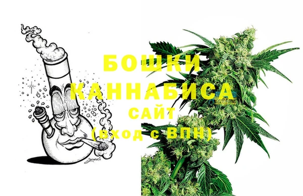 крисы Михайловск