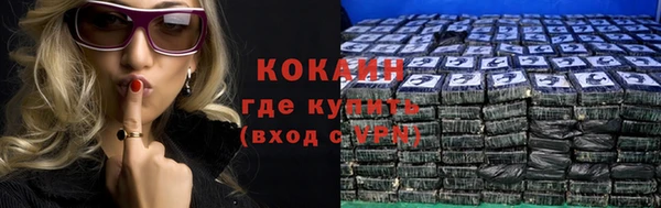 дмт Анива
