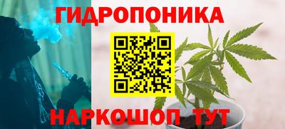 гашиш Кингисепп