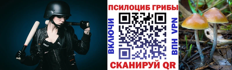 Псилоцибиновые грибы Cubensis  даркнет сайт  Нижний Тагил 
