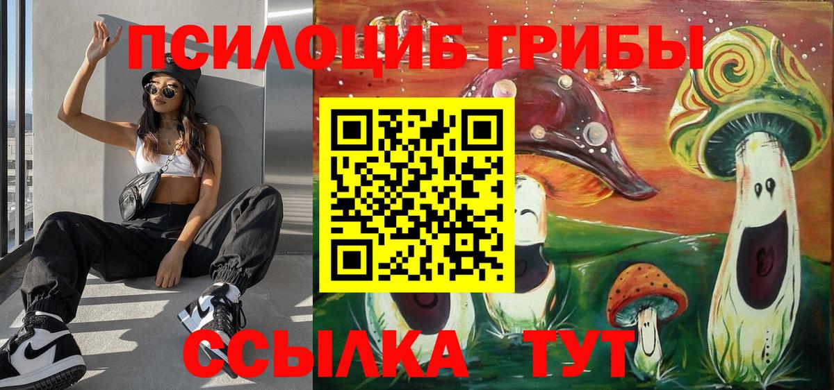 Псилоцибиновые грибы Psilocybine cubensis Нижний Тагил