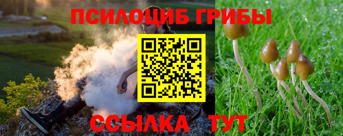 Нижний Тагил  Псилоцибиновые грибы Psilocybine cubensis  Вход с VPN 